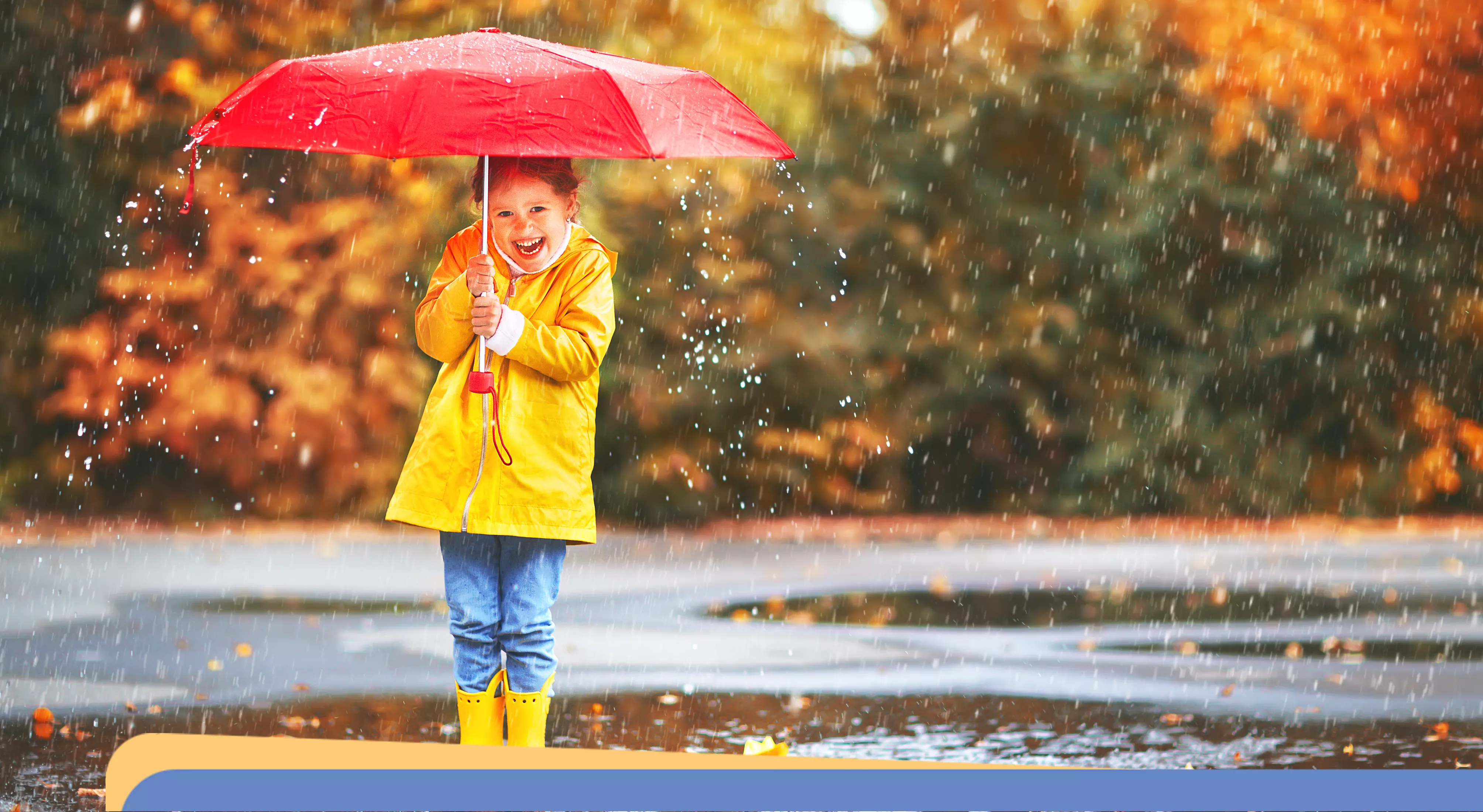 Lesson 1 - It’s autumn