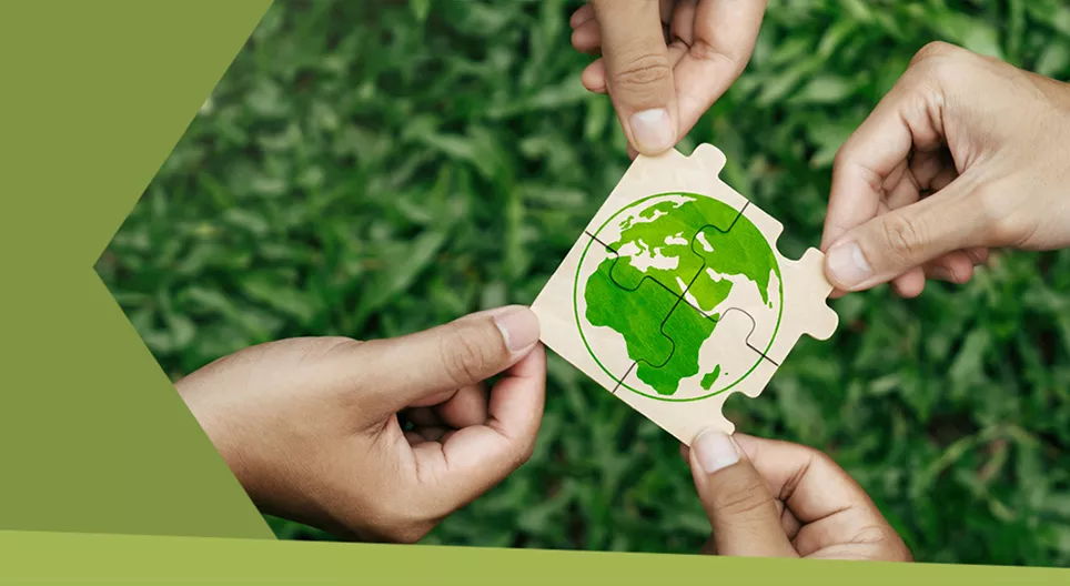 What does it mean to live sustainably?