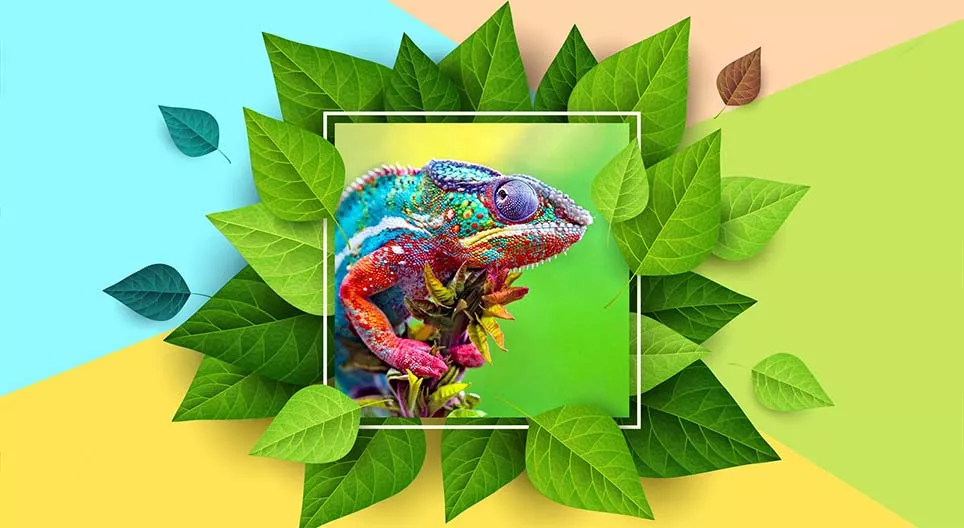 من هو أفضل مغير اللون؟