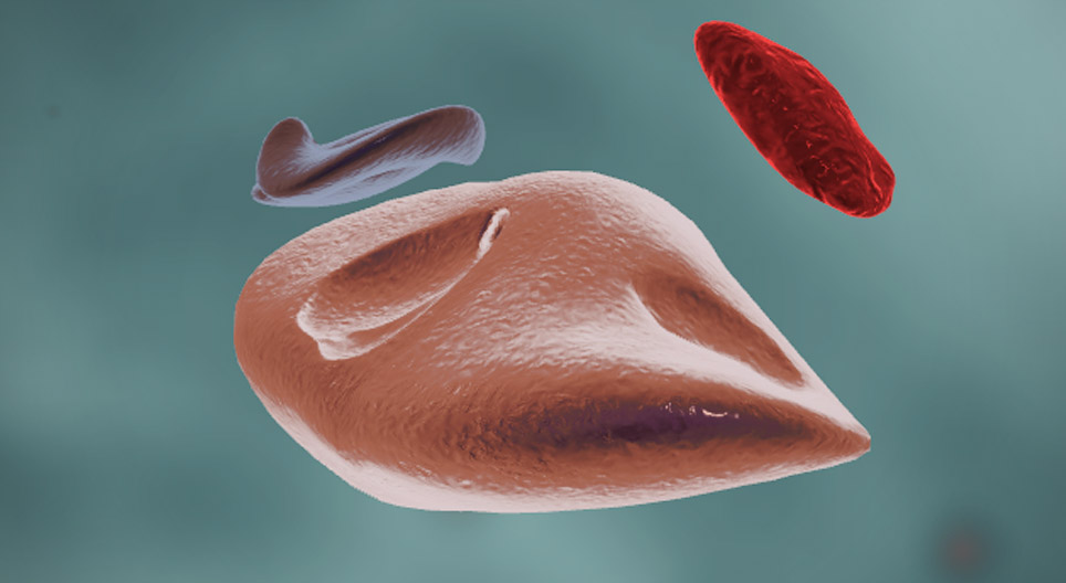 عمل الأنزيمات