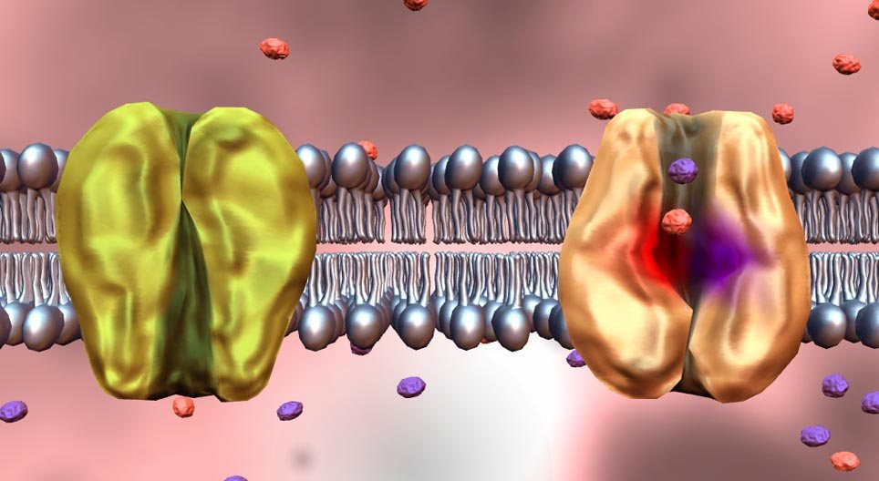 عمليات النقل