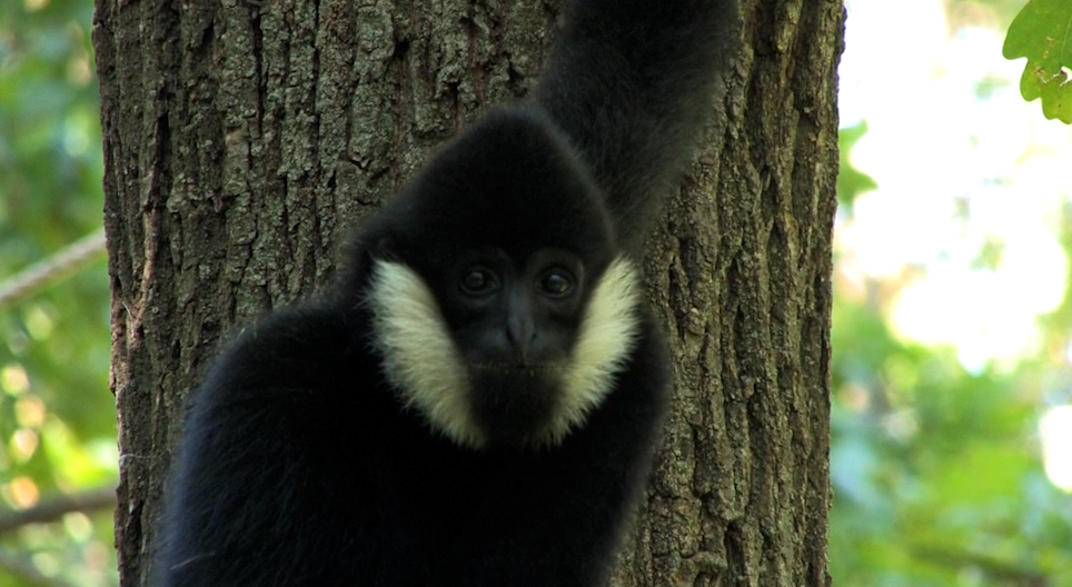 فيديوهات تعليمية