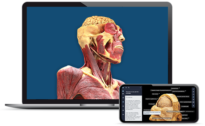 За настолна операционна система