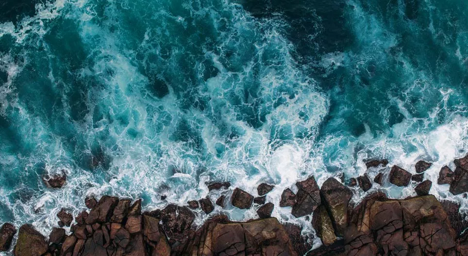 Какви характерни движения извършват водите на океана?