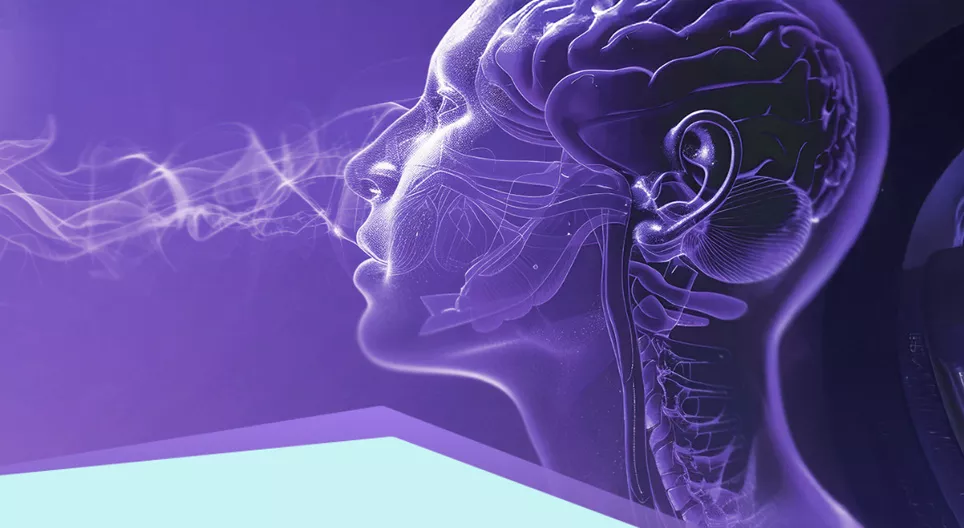 Сензори и рецептори