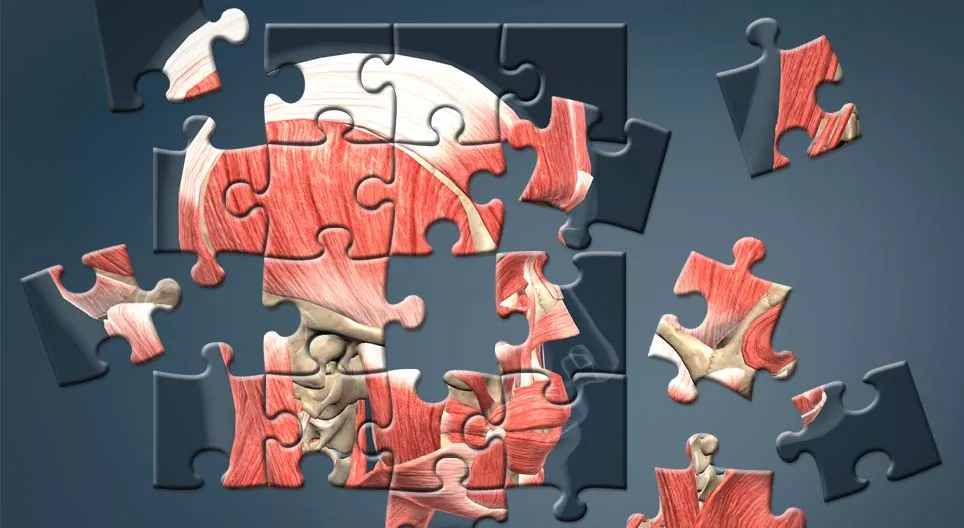 Да направим човек!