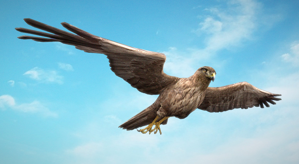 Тръстиков блатар