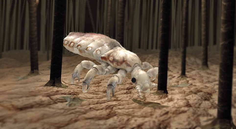 Главова въшка