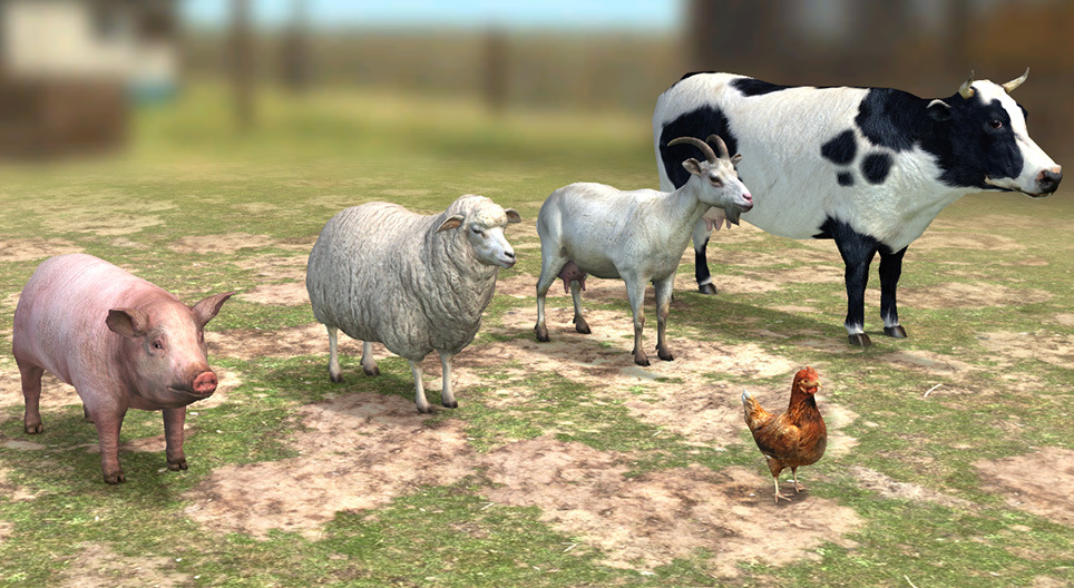 Селскостопански животни