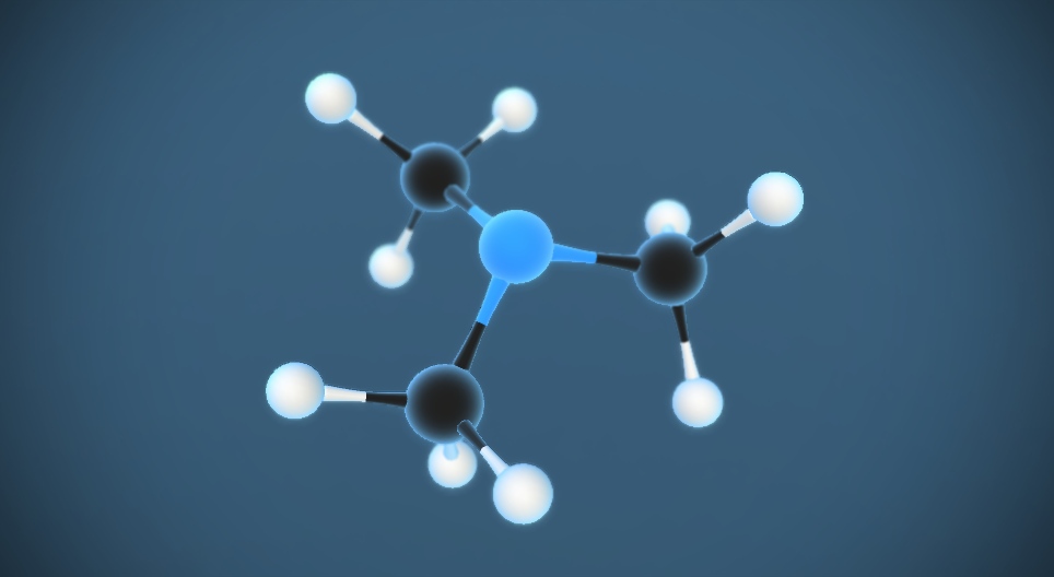 Триметиламин N(CH₃)₃