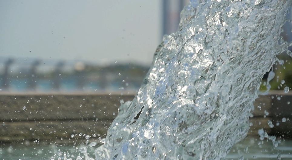 Образователни видеоклипове