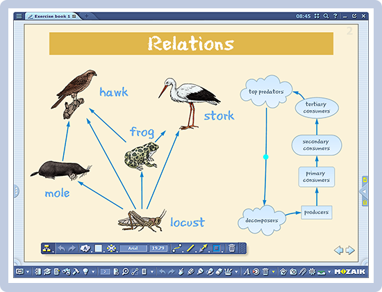 Relationsdiagram