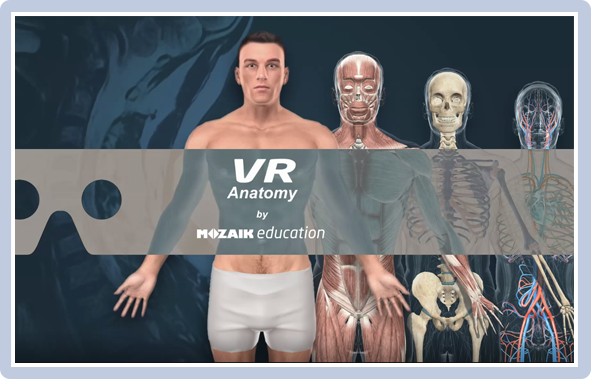 3D-anatomisk atlas