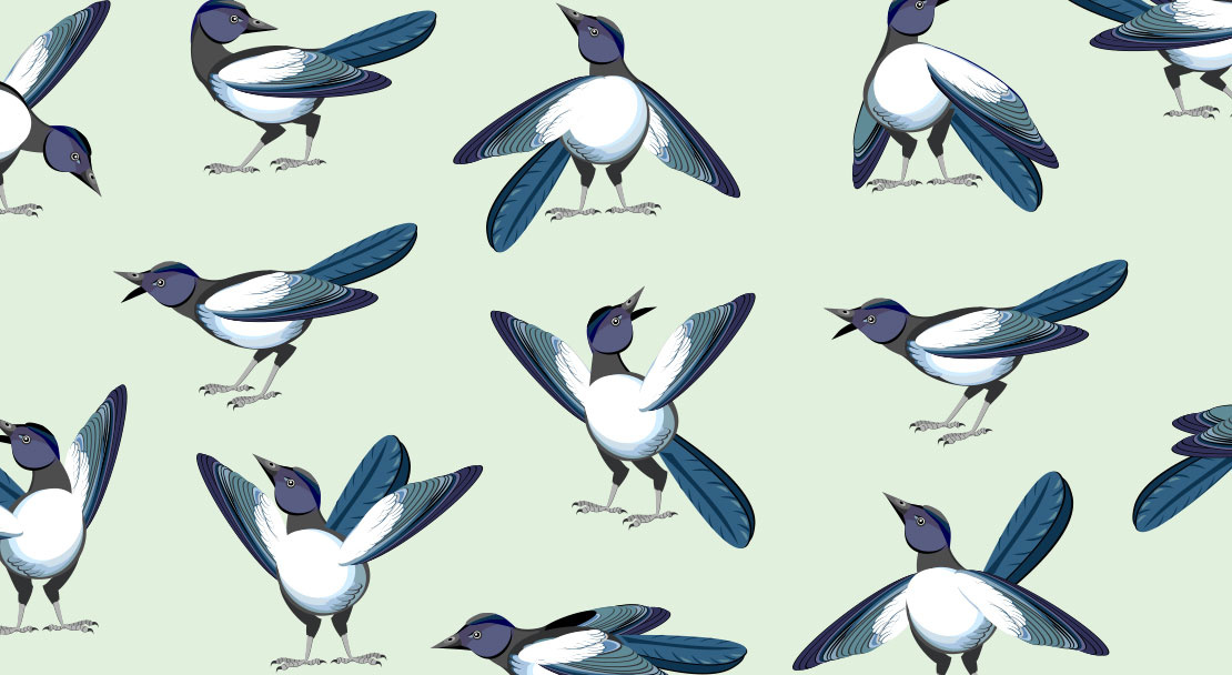 Welche zwei sind identisch?