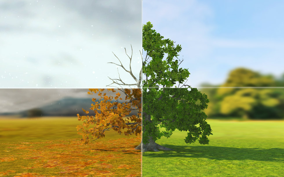 Δρυς (βασικό επίπεδο)