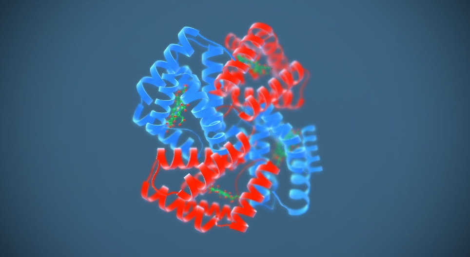 Αιμοσφαιρίνη