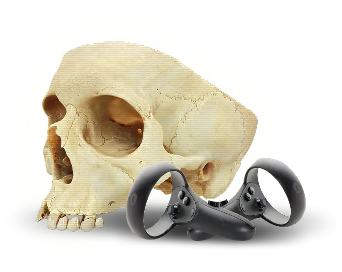 What are the benefits of a cadaVR subscription?