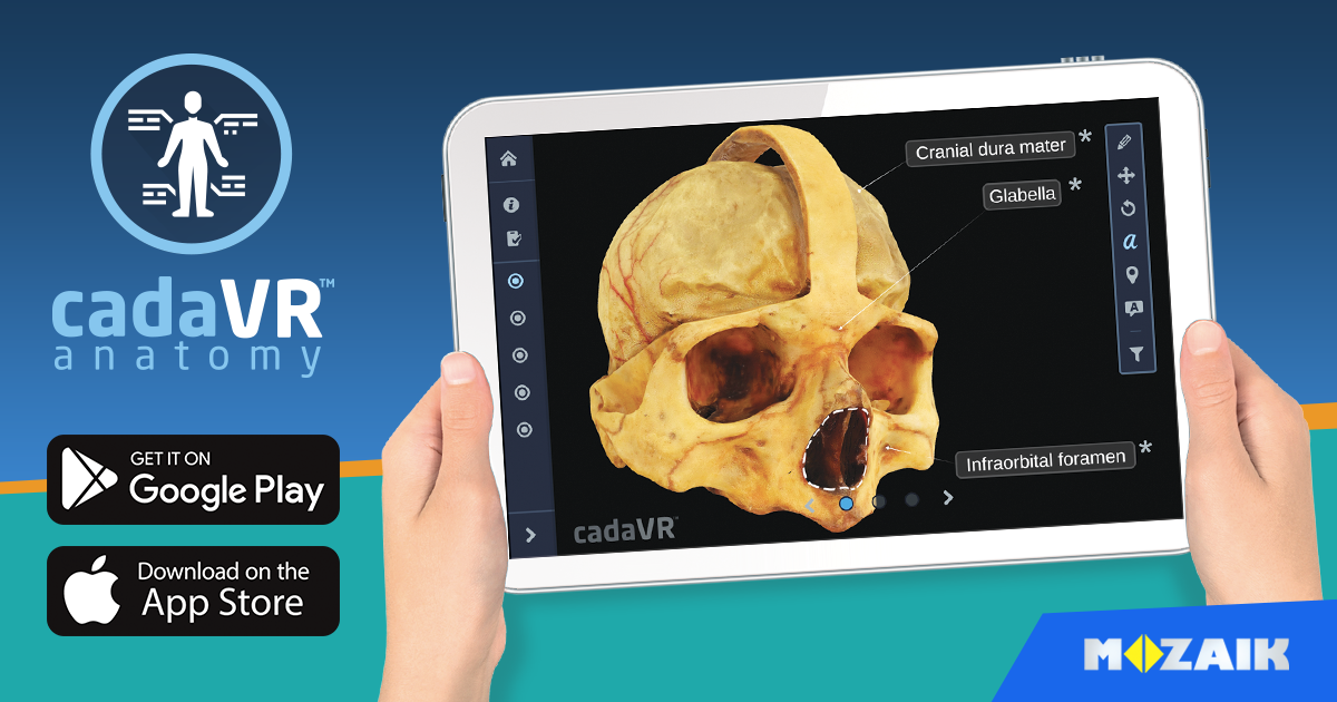 cadaVR Anatomy is now available on Android and iOS