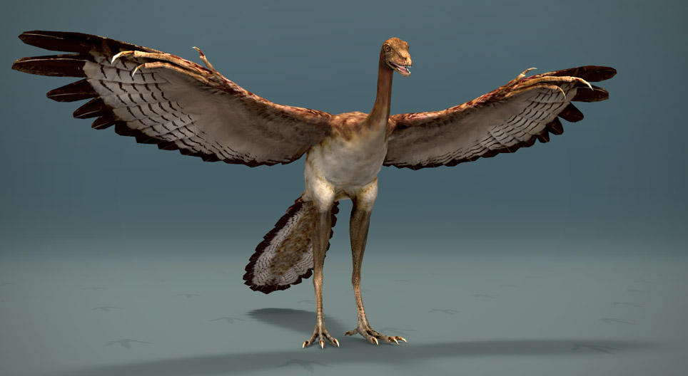 Archaeopteryx