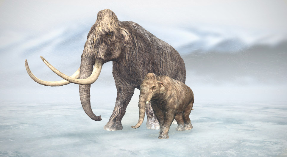 Woolly mammoth