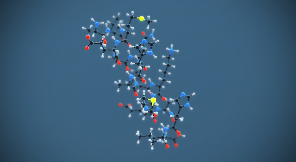 The secondary structure of proteins