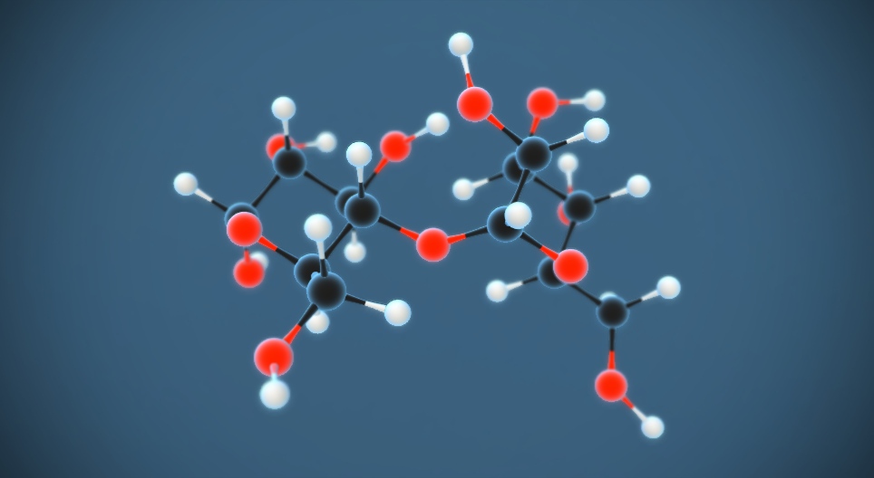 Maltose (malt sugar) (C₁₂H₂₂O₁₁)