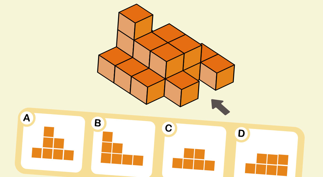 Which one is the correct view?