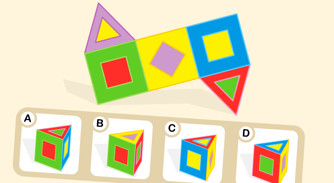 Nets of geometric shapes