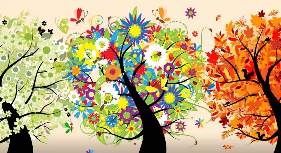 What are the seasons?