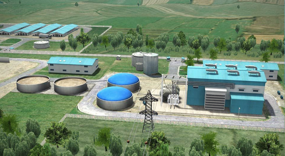 Biogas power plant