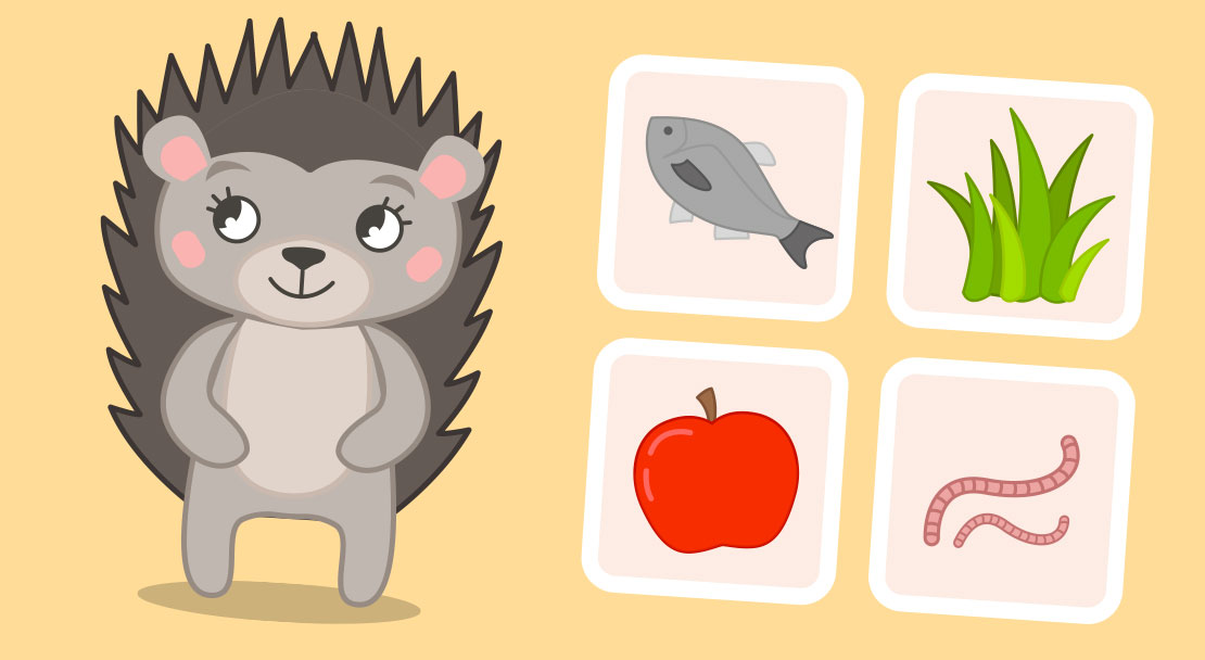 Quiz de animales