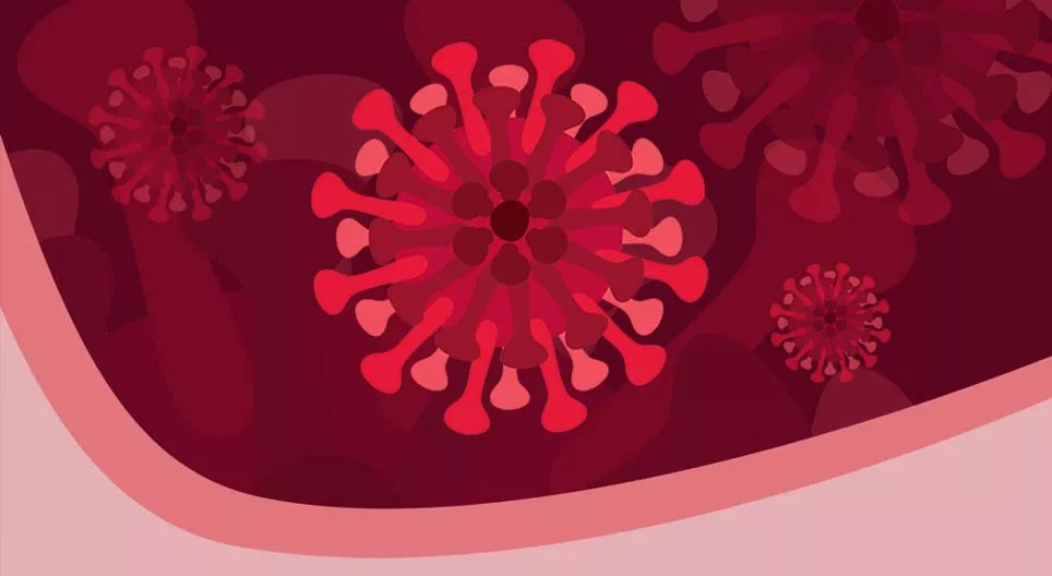 Cosas que deberías saber sobre los coronavirus y la COVID-19.