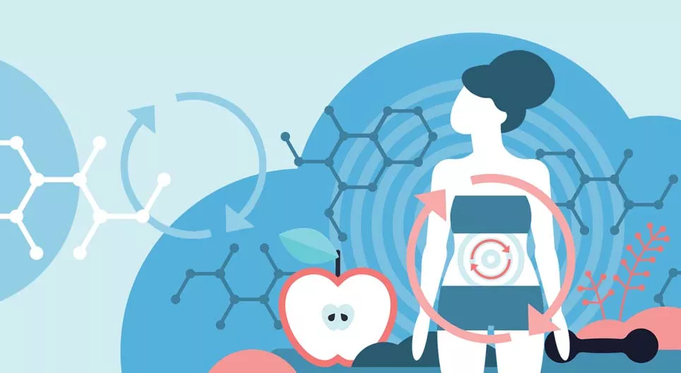 ¿Qué es el metabolismo?