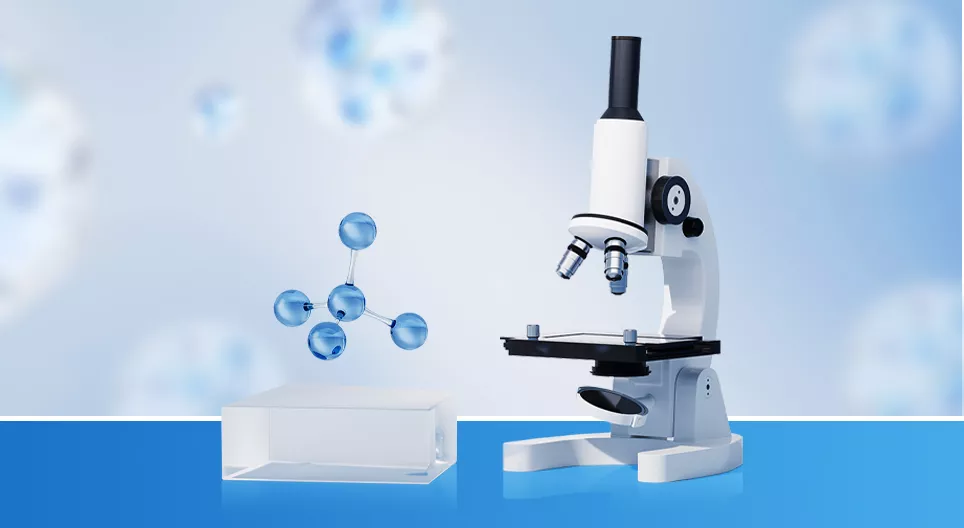 ¿Cómo utilizar el microscopio?