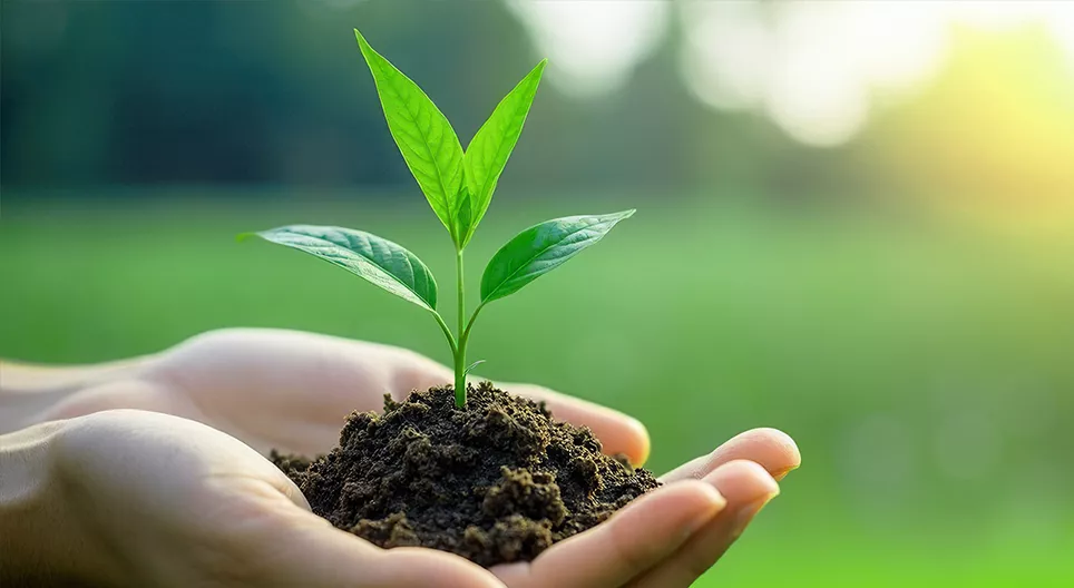 ¿Dónde está el límite de la vida?