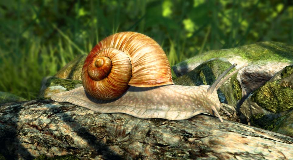 Caracol romano