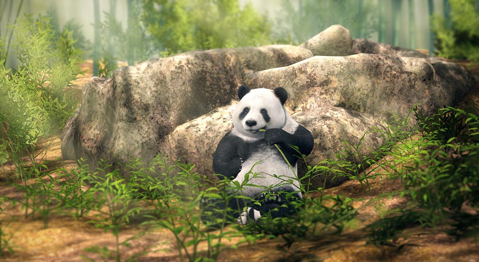 Panda gigante