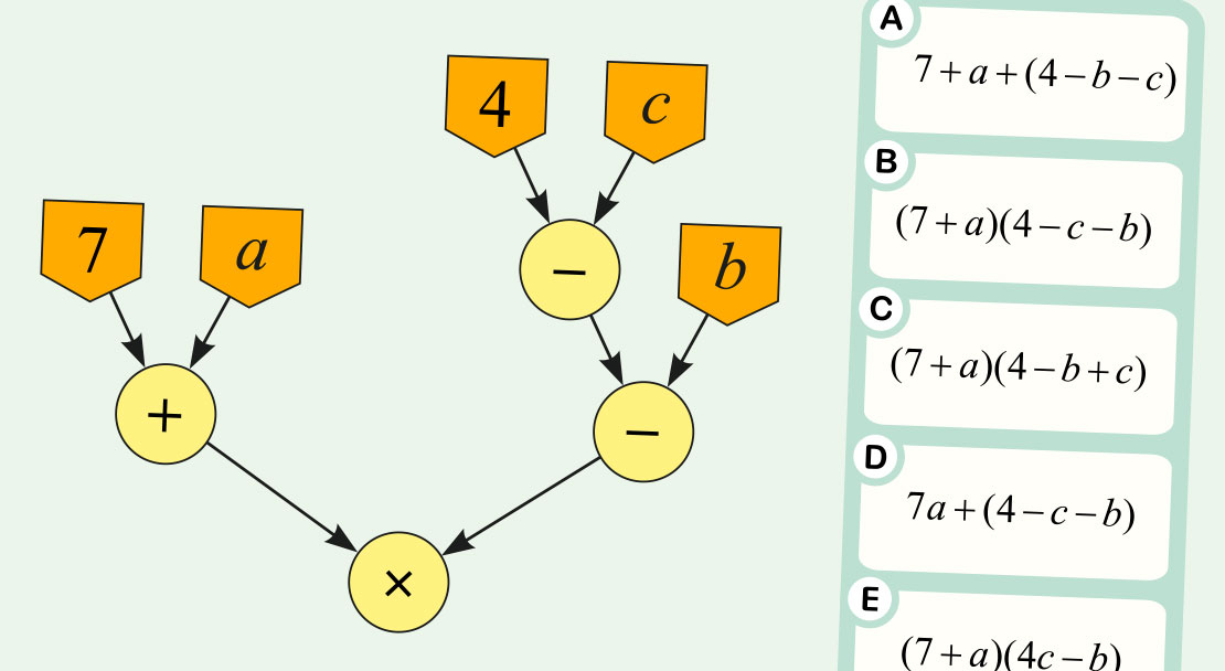 Algebrapuu