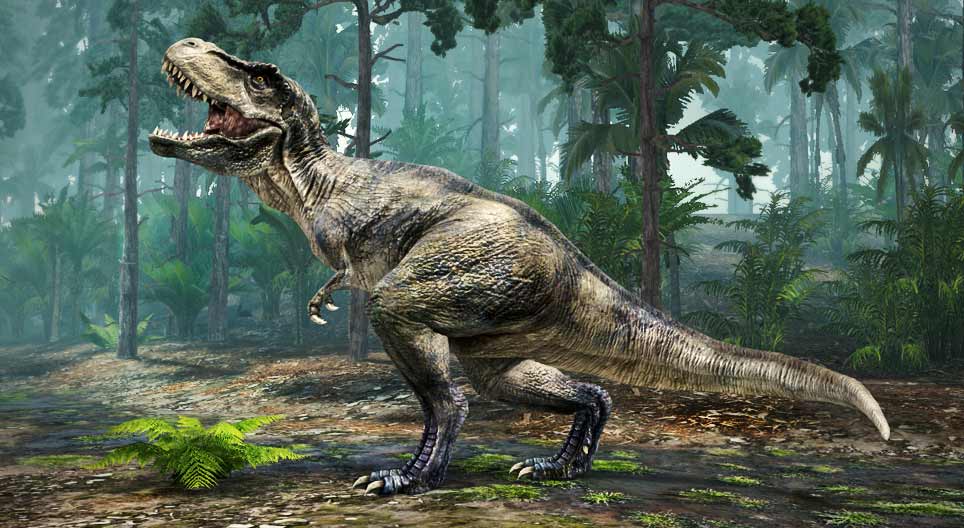 Tyrannosaurus rex (türannsisalik)