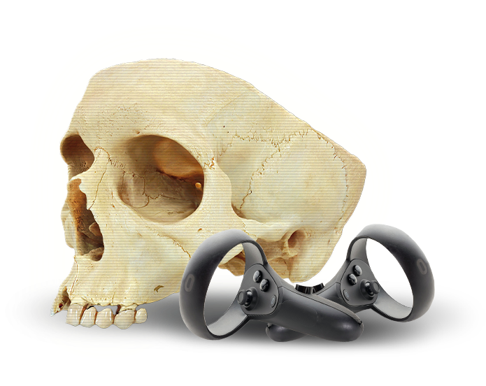 What are the benefits of a cadaVR subscription?