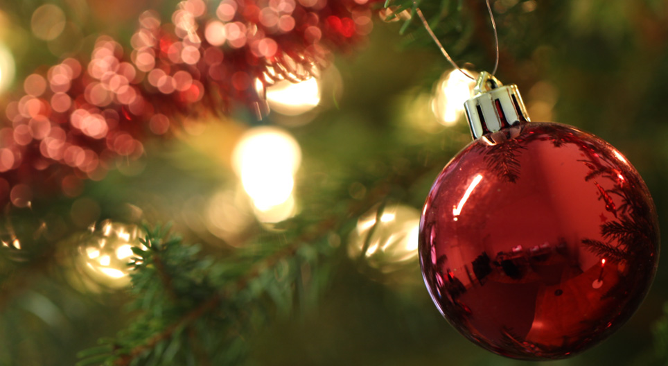 Obrazovni video zapisi