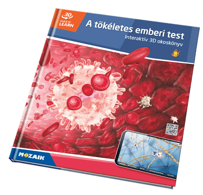 Book MS-6409-HU