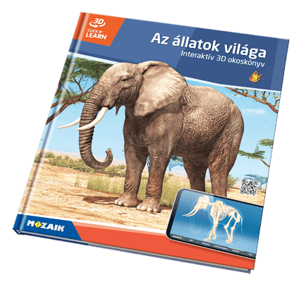 Book MS-6413-HU
