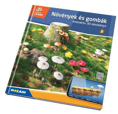 Book MS-6417-HU