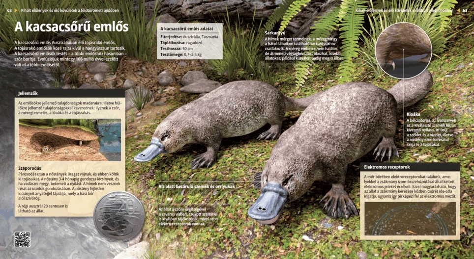 A kacsacsőrű emlős