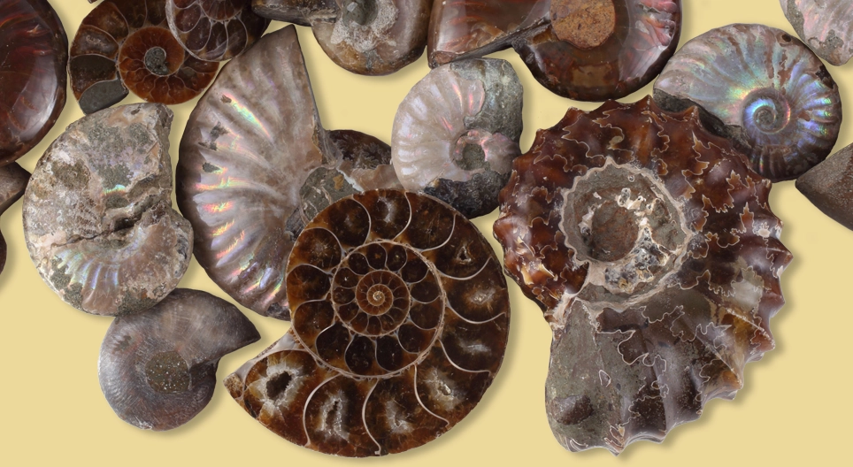 Testünk és épületeink univerzális építőeleme