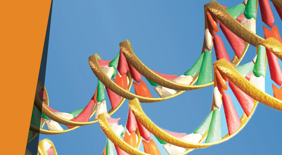 自宅でのDNA実験