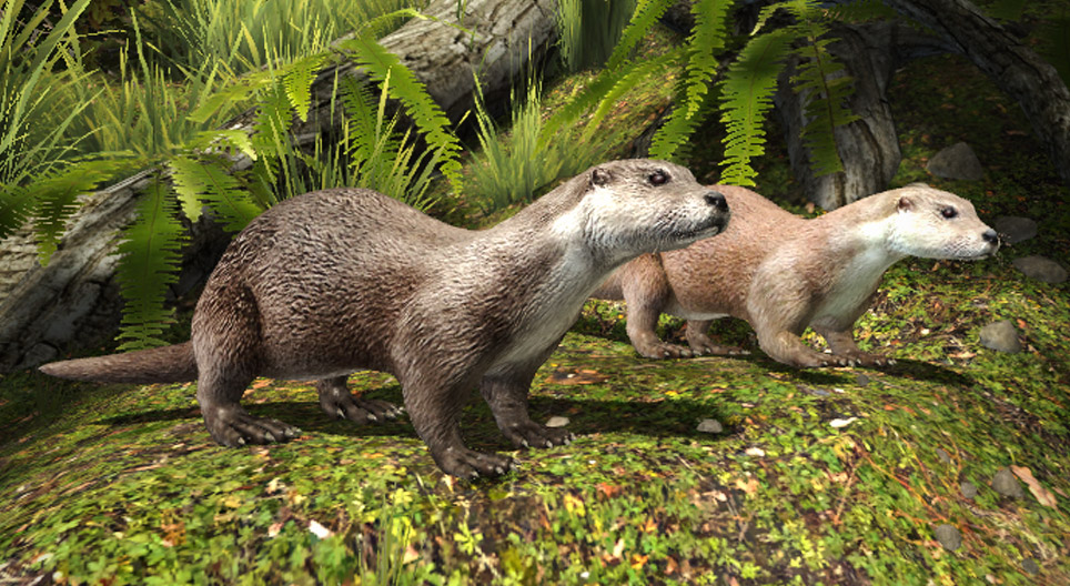 ヨーロッパカワウソ