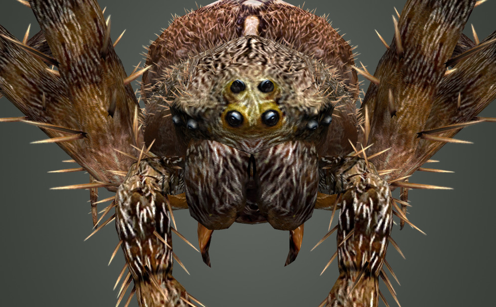 MTV арнасындағы эротикалық шоу Маймылдармен және приматтармен жыныстық қатынас