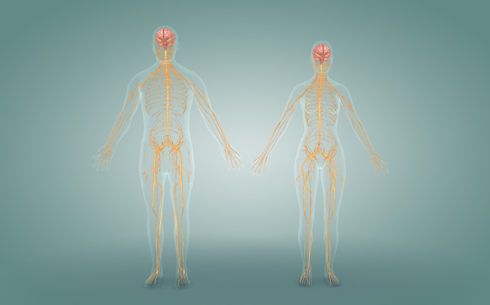 Тақтар ойынындағы эротика және секс Супер сексуалды аққұбалар бейне
